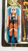 Star Wars ESB 1980 - Palitoy 30back B - Luke Skywalker \ X-wing Pilot\  (Miro-Meccano Archives)