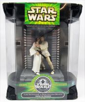 Star Wars Silver Anniversary : Luke Skywalker & Princess Leia Organa (Swing to Freedom)