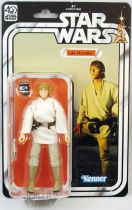 Star Wars The Black Series 6\" - \"40th Anniversary\" Luke Skywalker