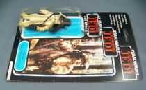 star_wars_trilogo_1983_1985___kenner___logray__ewok_medecin_man__04