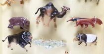 Starlux - Zoo - Coffret 17 Pi&egrave;ces Neuf Boite