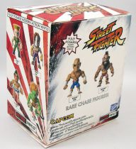 Street Fighter - Action-Vinyl The Loyal Subjects - M. Bison