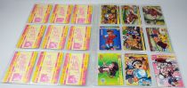 Street Fighter - Bandai - Collection de 247 Carddass (trading cards) - Japon 1991-1995