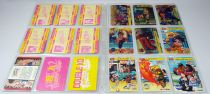 Street Fighter - Bandai - Collection de 247 Carddass (trading cards) - Japon 1991-1995