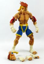 Street Fighter - SOTA Toys - Adon (loose)