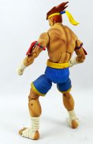 Street Fighter - SOTA Toys - Adon (loose)