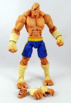 Street Fighter - SOTA Toys - Sagat (loose)