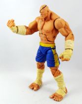 Street Fighter - SOTA Toys - Sagat (loose)