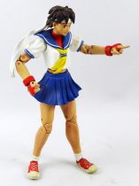Street Fighter - SOTA Toys - Sakura (loose)