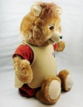 Teddy Ruxpin - Peluche parlante animée magnétophone - 1985