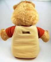 Teddy Ruxpin - Peluche parlante animée magnétophone - World of Wonders 1985 (occasion)