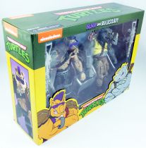 Teenage Mutant Ninja Turtles - NECA - Animated Series Bebop & Rocksteady