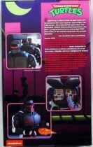 Teenage Mutant Ninja Turtles - NECA - Animated Series Evil Rex-1