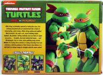 Teenage Mutant Ninja Turtles - NECA - Animated Series Raphael & Michelangelo