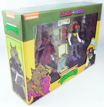 Teenage Mutant Ninja Turtles - NECA - Animated Series Triceraton Splinter & Baxter Stockman