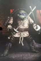 Teenage Mutant Ninja Turtles - NECA - Universal Monsters Leonardo as The Hunchback