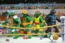 Teenage Mutant Ninja Turtles (Archie Comics) - NECA - Stump Wrestling Turtles 4-pack