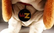 Tele Z Advertising Plush- Dog High 35 cm x Length 56 cm