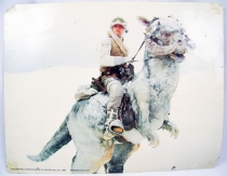 The Empire Strikes Back (1980) - Lobby Card (grande taille) - Luke et son Tauntaun sur Hoth 01