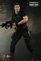The Expendables - Barney Ross (Sylvester Stallone) - Figurine 30cm Hot Toys MMS 138