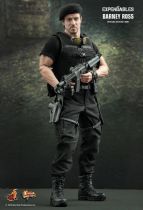 The Expendables - Barney Ross (Sylvester Stallone) 12\  figure - Hot Toys MMS 138