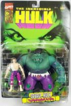 The Incredible Hulk - Savage Hulk & Bruce Banner