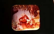 The Jungle Book - 3 x View-Master Discs Set Loose Ref. B 363-F