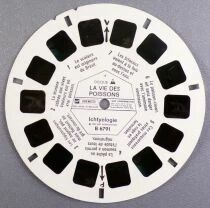 The Life of Fish Ichthyology - 3 x View-Master Discs Set Loose Ref. B 679-F
