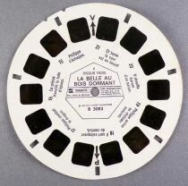The Sleeping Beauty - 3 x View-Master Discs Set Loose Ref. D 308 -F