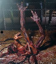 The Thing - NECA Ultimate 7\  figure - Dog Creature