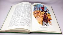 Thierry la Fronde - Illustrated story book - The Knights of Sologne & the Island fellows.