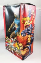 ThunderCats - Mezco - Lion-O Mega Scale Action Figure (14-Inch)