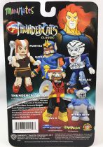 Thundercats (Cosmocats) - Art Asylum Minimates - Collection Complète de 5 Sets