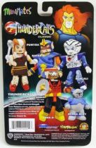 Thundercats (Cosmocats) - Art Asylum Minimates - Lynx-O, Bengali, Pumyra, Ratar-O, Berbil Bert