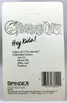 Thundercats (Cosmocats) - Spindex - Eraser Figure - Mumm-ra, S-s-slithe, Panthro, Lion-O (mint on card)