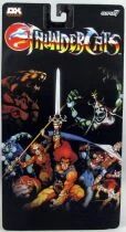 ThunderCats Deluxe (Super7) - Jaga (Ghost)