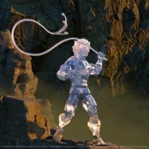 Thundercats Ultimates (Super7) - Tygra \ Invisible\ 