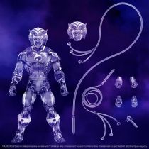 Thundercats Ultimates (Super7) - Tygra \ Invisible\ 