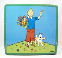 Tintin - Delacre Tin Cookie Box (Square) - Tintin and Snowy in Spring #1