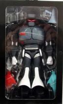 TMNT Tortues Ninja - NECA - Animated Series Evil Rex-1