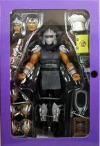 TMNT Tortues Ninja - NECA - Animated Series Shredder