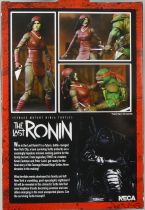 TMNT Tortues Ninja (IDW The Last Ronin Comics) - NECA - Karai