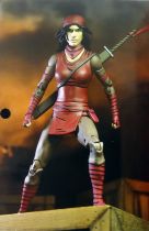 TMNT Tortues Ninja (IDW The Last Ronin Comics) - NECA - Karai