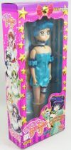 mew_mew_power___poupee_25cm_corina_dujardin_de_monteclair__1_