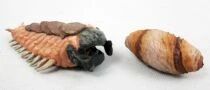 Tremors - Takara Tomy - Gashapon figures : Larva & Egg