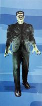 Universal Studios Monsters - Jada - Frankenstein 6\  action-figure