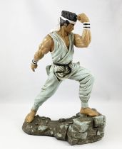 Virtua Fighter - Akira - 10inch Statue Moore Creations Inc. (1998)