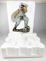 Virtua Fighter - Akira - 10inch Statue Moore Creations Inc. (1998)