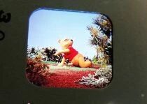 Winnie l\'ourson - Pochette 3 Disques Gaf View-Master 3D And The Honey Tree R&eacute;f. B 362