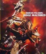 World of Warcraft - Human Paladin : Judge Malthred - DC Unlimited